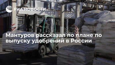 Денис Мантуров - Мантуров: в России в 2024 году планируют произвести 60 млн тонн удобрений - smartmoney.one - Россия