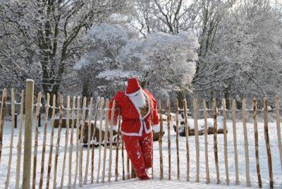 В Германии пьяный "Санта-Клаус" врезался в дом, развозя подарки - pravda.com.ua - Германия