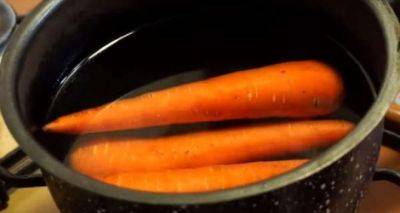 Как морковь на салаты отварить за пять минут: кастрюли и духовки не пригодятся - cxid.info