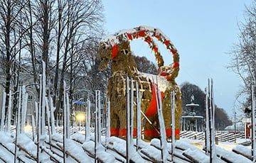 Знаменитый соломенный козел в Швеции дожил до Рождества вопреки традиции сжигания - charter97.org - Белоруссия - Швеция