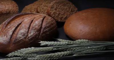 Французский лайфхак: как правильно хранить хлеб, чтобы он не портился неделями - hyser.com.ua - Украина - Франция