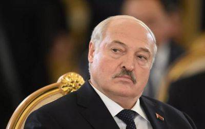 Лукашенко - Режим Лукашенко массово задерживает вернувшихся из-за границы людей - СМИ - korrespondent.net - Россия - Украина - Белоруссия - Литва