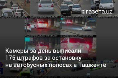 Камеры за день выписали 175 штрафов за остановку на автобусных полосах в Ташкенте - gazeta.uz - Узбекистан - Ташкент