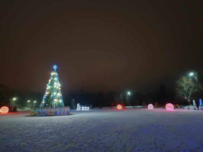 В городе на Харьковщине на Рождество засияла елка (фото) - objectiv.tv - Украина