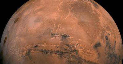 Следы на песке. Камера аппарата MRO сделала интересный снимок поверхности Марса (фото) - focus.ua - Украина