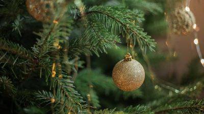 Новогодняя елка выдаст все секреты: как по праздничному деревцу определить характер и переживания ее хозяина - hyser.com.ua - Украина - Англия