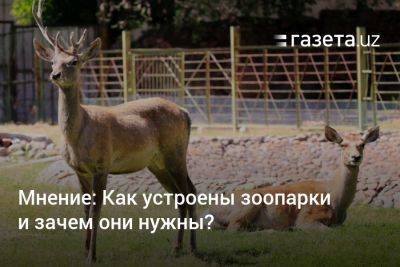 Мнение: Как устроены зоопарки и зачем они нужны? - gazeta.uz - Москва - Узбекистан