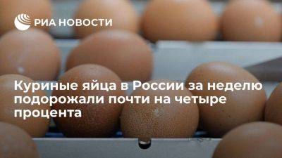 Росстат: яйца с 19 по 25 декабря подорожали на 3,95%, меньше, чем неделю назад - smartmoney.one - Россия - Псковская обл. - Чукотка