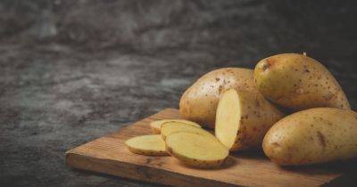Как быстро приготовить картошку: 5 проверенных правил - focus.ua - Украина