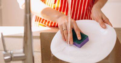 Как часто нужно менять кухонные губки: советы от эксперта по домоводству - focus.ua - США - Украина