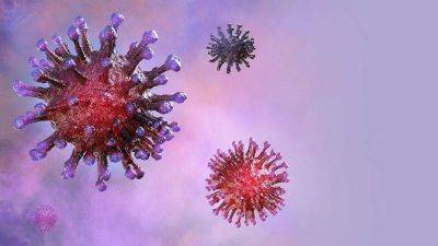 Почему возник коронавирус? Самые распространенные теории - koronavirus.center - Россия - Китай - Южная Корея - Италия - Израиль - Австралия - Франция - Япония - Испания - Таиланд - Ухань