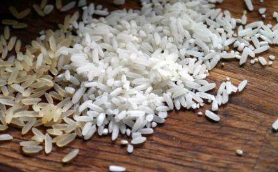 Мировые цены на рис выросли до максимума за 15 лет - minfin.com.ua - Украина - Индия