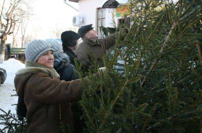 Не пропустите этот момент: когда после Нового года нужно убирать ёлку, чтобы не навлечь горе и беды - hyser.com.ua - Украина