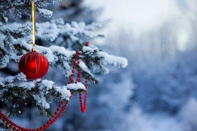 Странная погода под Новый год: синоптики рассказали, к чему готовиться на праздники - hyser.com.ua - Украина