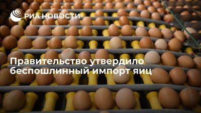 Владимир Путин - Дмитрий Патрушев - Правительство подписало постановление о беспошлинном импорте яиц до 30 июня - smartmoney.one - Россия