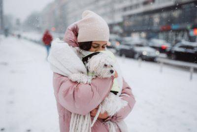 Игорь Кибальчич - Когда похолодание в Украине - на выходных 9-10 декабря ударят морозы - прогноз - apostrophe.ua - Украина