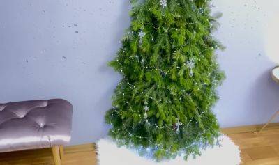 Как правильно убирать опавшую хвою с новогодней елки или сосны: не вздумайте использовать пылесос - ukrainianwall.com - Украина