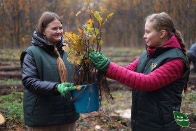 За год на Харьковщине высадили больше 5 млн деревьев - objectiv.tv