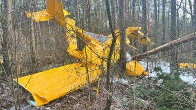 В Польше упал небольшой самолет в 500 метрах от взлетной полосы, есть пострадавшие - pravda.com.ua - Польша