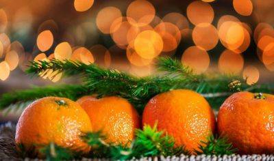 Почему мандарины считаются символом Нового года - fokus-vnimaniya.com - Новости
