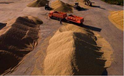 Российское зерно, экспортируемое через Латвию, в Литву не попадает - obzor.lt - Россия - Украина - Литва - Латвия - Прибалтика