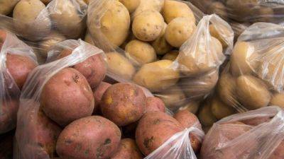 Украинцев предупредили о резком подорожании картошки: что будет дальше с ценами - hyser.com.ua - Украина
