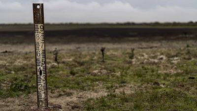 Водный кризис: можно ли спасти болота нацпарка Доньяна? - ru.euronews.com - Экология