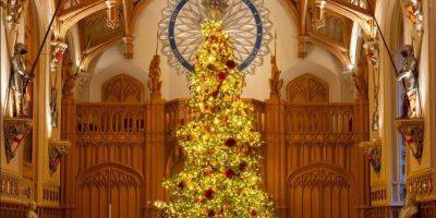 Две тысячи огоньков. В Виндзорском замке установили главную праздничную елку — фото королевского дерева - nv.ua - Украина - Англия - Великобритания