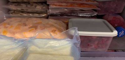 Забивайте морозилки, пока есть шанс: жизненно важные продукты превращаются в "сокровище" - akcenty.com.ua - Россия - Украина