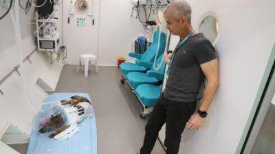 Раненую в Газе собаку Майки лечат в больнице "Шамир" как бойца ЦАХАЛа - vesty.co.il - Израиль