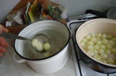 Гости будут в восторге от такой закуски: рецепт сочного консервированного лука по-польски - hyser.com.ua - Украина