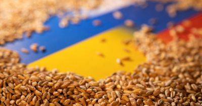 Роберт Вуд - Россия уничтожила более 300 тысяч тонн зерна после выхода из зерновой сделки - dsnews.ua - Россия - США - Украина