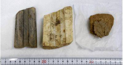 В Японии обнаружили каменные формы для литья бронзы: они могут быть самыми старыми в мире (фото) - focus.ua - Украина - Япония - Находка