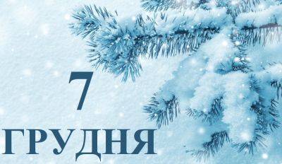 Тарас Шевченко - Сегодня 7 декабря: какой праздник и день в истории - objectiv.tv - Россия - США - Украина - Армения - Львов - Белоруссия
