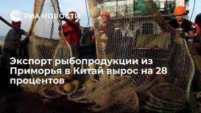 Экспорт рыбопродукции из Приморья в КНР вырос на 28% и составил 620 тысяч тонн - smartmoney.one - Китай - Приморье край - Дальний Восток