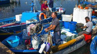 Итальянские рыбаки избавляются от полистироловых контейнеров - ru.euronews.com