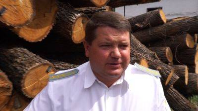 ВАКС взыскал еще один залог экс-директора лесхоза - ru.slovoidilo.ua - Украина