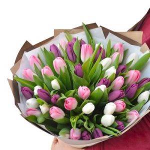 Как выбрать букет свежих тюльпанов правильно - reporter-ua.com - Украина - Киев