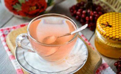 Самый зимний чай: как правильно заваривать чай из калины и от чего он лечит - ukrainianwall.com - Украина