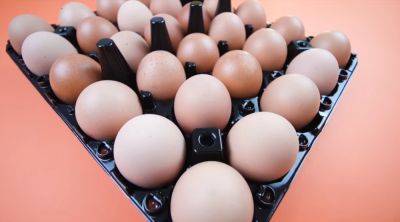 А ведь вы об этом не знали: сколько хранятся мытые яйца и нужно ли их мыть - hyser.com.ua - Украина