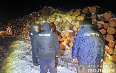 На Волыни разоблачили масштабную схему хищения леса - korrespondent.net - Украина