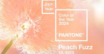 Pantone выбрал главный цвет 2024 года - dsnews.ua - Украина