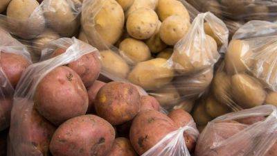 Подорожание картошки не останавливается: какие сейчас цены и чего ожидать - hyser.com.ua - Украина