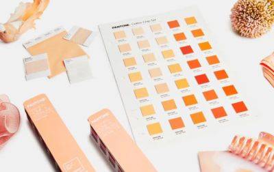 Pantone назвав колір 2024 року - real-vin.com - Украина