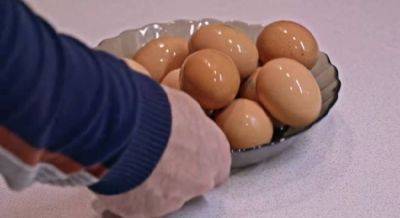 Как правильно заморозить куриные яйца на зиму: актуальные лайфхаки от хозяек - politeka.net - Украина