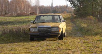 Mercedes - Легендарная надежность: старый Mercedes завелся и поехал после 14 лет на свалке (видео) - focus.ua - Украина - Эстония