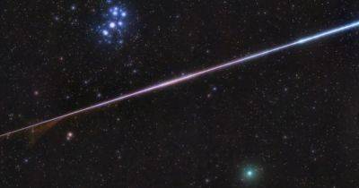 Алкогольная комета забросает Землю мусором: в небе будут видны вспышки - focus.ua - Украина - Киев