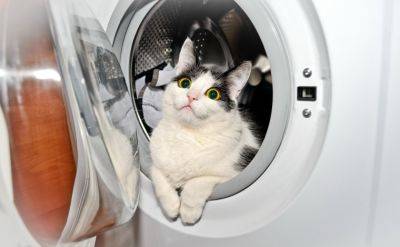 Вам не жалко своего кошелька? Почему нельзя оставлять дверь стиральной машинки закрытой - hyser.com.ua - Украина