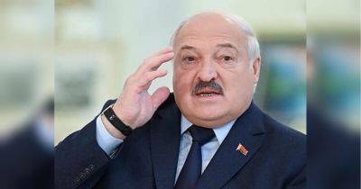 Александр Лукашенко - Китай выдвинул Лукашенко жесткие требования: что известно - fakty.ua - Китай - Украина - Эмираты - Пекин