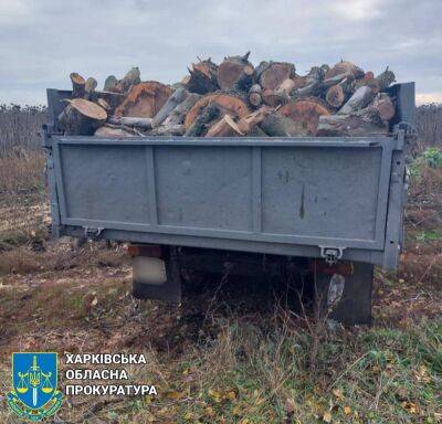 На Харьковщине двое мужчин с бензопилой нарубили деревьев на миллион гривен - objectiv.tv - Украина - Харьковская обл. - Харьков - район Купянский